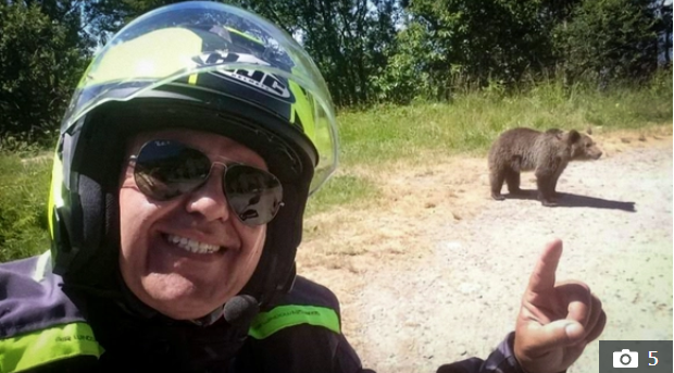 დათვთან სელფის გადაღების საბედისწერო მცდელობა იტალიელ ბაიკერს სიცოცხლის ფასად დაუჯდა