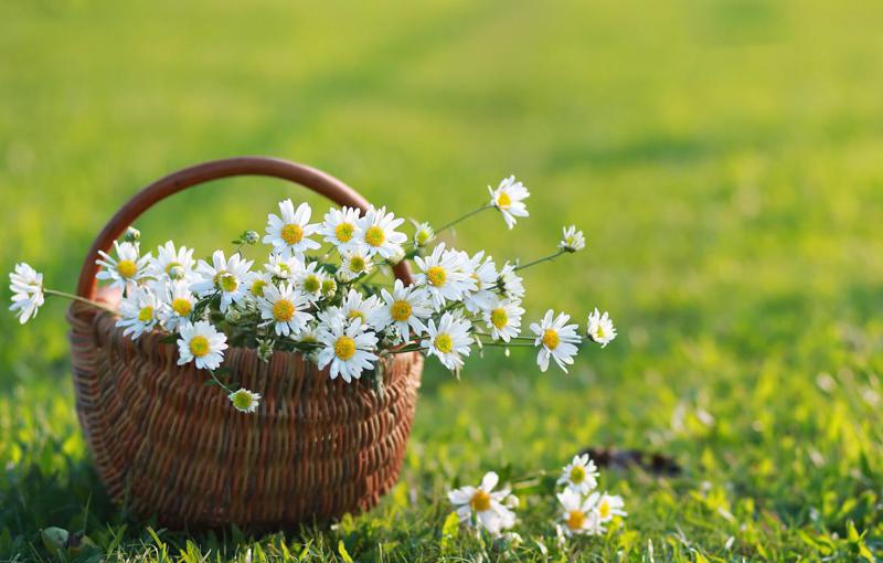 მთვარის მეთერთმეტე დღე: ნებისმიერი დავალების შესრულებისას საჭიროა სიფრთხილე და ყურადღება