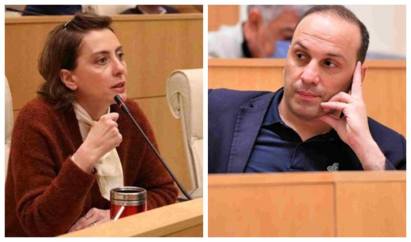 "ყოფილი ქოცის, ბიძინას ყოფილი მორჩილის არავის ეშინია" - ხატია დეკანოიძე ლევან გოგიჩაიშვილზე