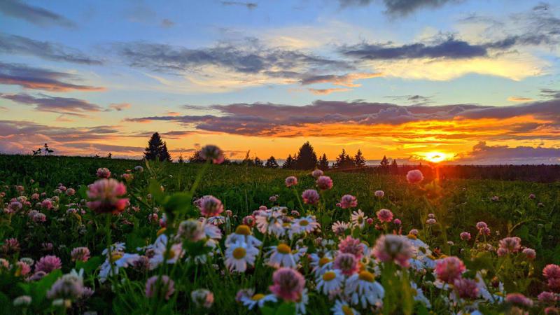 მთვარის მეთოთხმეტე დღე: გააძლიერეთ ოჯახური კავშირები განსაკუთრებით უფროს თაობასთან