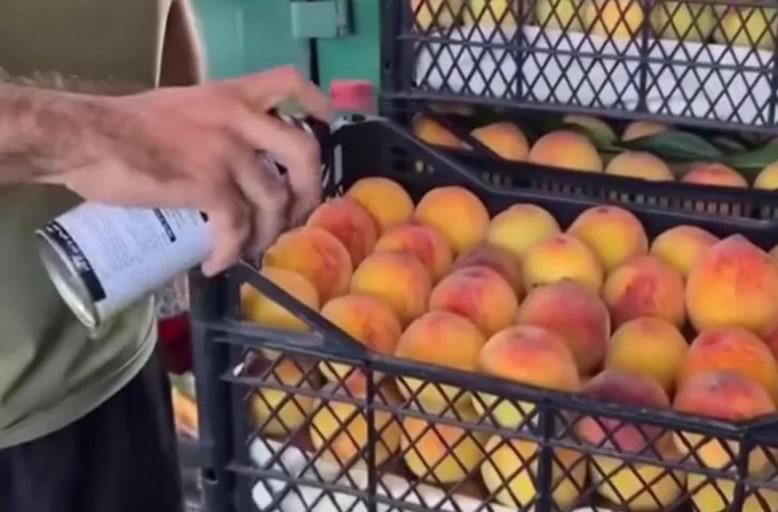 “ატმის შეღებვის ფაქტზე იდენტიფიცირებულია გურჯაანის მუნიციპალიტეტის სოფელ ჩუმლაყში მცხოვრები ფიზიკური პირი“ - სურსათის ეროვნული სააგენტო