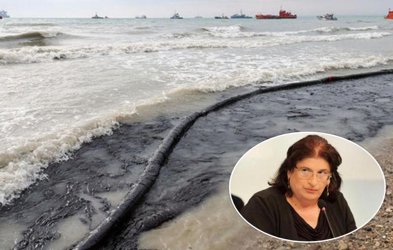 "მაზუთი გაიშალა - შეიძლება, ნაპირზე დელფინები გამოირიყოს" - შავ ზღვაში დეკემბერში ჩაძირული რუსული ტანკერებიდან მაზუთმა გაჟონა: რას ამბობს ნინო ჩხობაძე