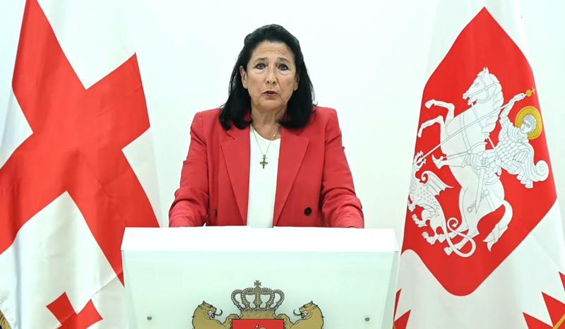 წინააღმდეგობის პლატფორმა, გარდამავალი მთავრობა და “ქართული ქარტია“ - სალომე ზურაბიშვილმა სამპუნქტიანი სამოქმედო გეგმა წარადგინა