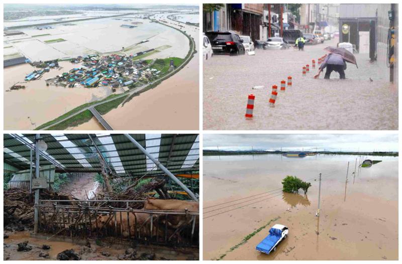 დაღუპულები, ევაკუირებული ხალხი და წყლით დაფარული ქუჩები - სამხრეთ კორეაში ძლიერი წვიმის შემდეგ წყალდიდობას ებრძვიან (ფოტოები)