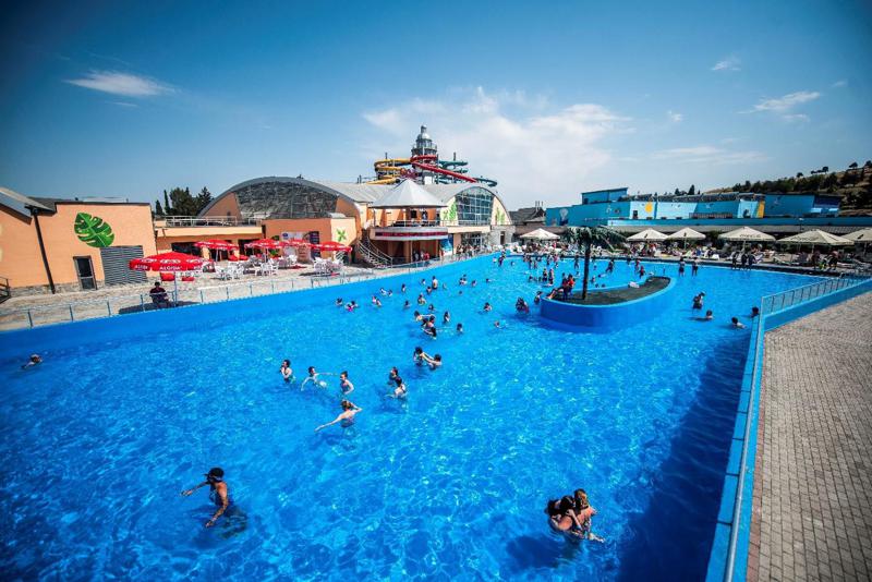 ექსკლუზიური შეთავაზება თბილისის მულტიფუნქციურ აკვაპარკში — Gino’s Friends