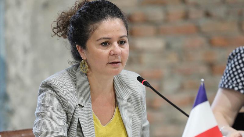 "უვიზო მიმოსვლის შეჩერების მექანიზმი წინასწარ შეთანხმებული პროცედურაა ვალდებულებების დარღვევის დროს სწორ გზაზე დასაბრუნებლად" - საქართველოში საფრანგეთის ელჩი