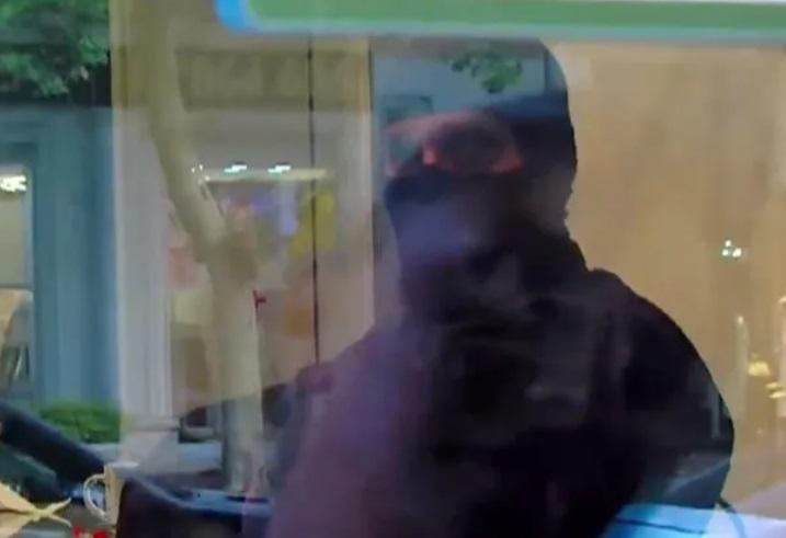 თბილისში კიდევ ერთი სპეცოპერაცია მიმდინარეობს - არსებული ინფორმაციით, საგამოძიებო მოქმედებები "გრინ ქვინ ჰოტელში“ ტარდება