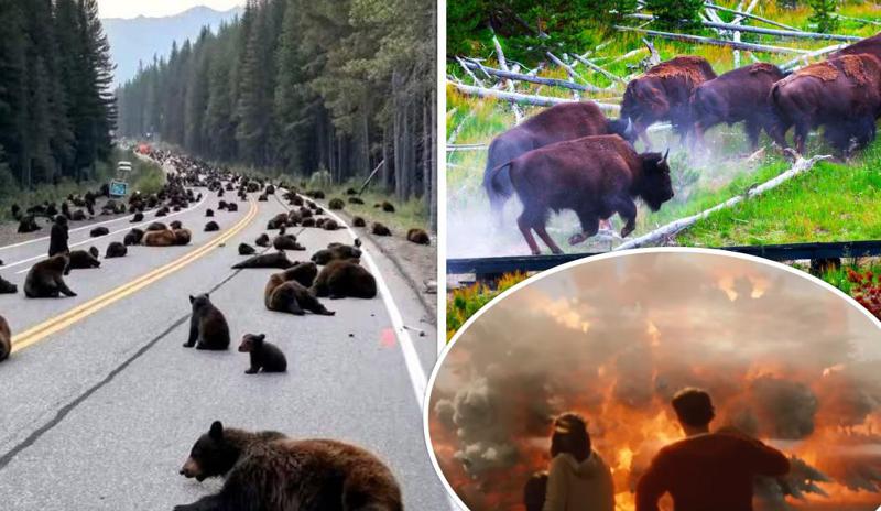 ერთ-ერთი საშიში სუპერვულკანი, ფილმიდან "2012", შესაძლოა გააქტიურდეს? - იელოუსტოუნში გადაღებულმა კადრებმა ხალხი დააპანიკა: რა ხდება რეალურად