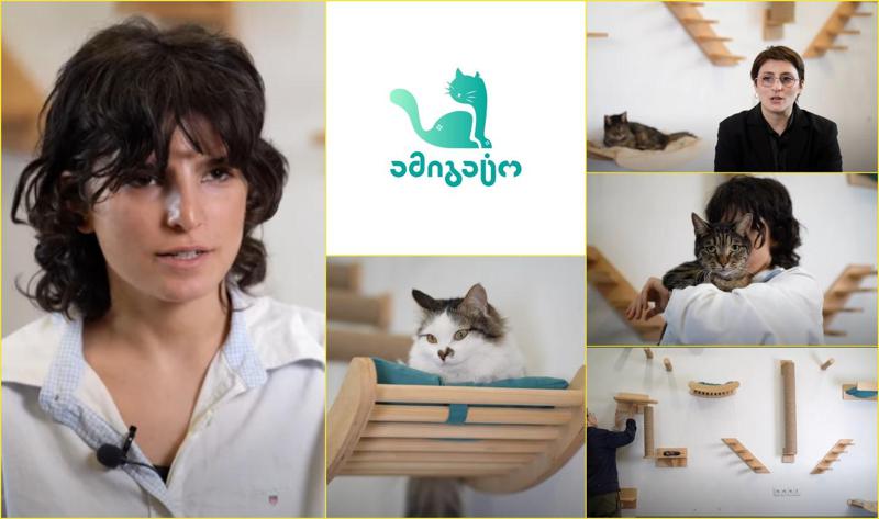 "ამიგატო" - სოციალური საწარმო და ავეჯის ქართული ბრენდი, რომელიც მიუსაფარი კატების გადარჩენაზე ზრუნავს