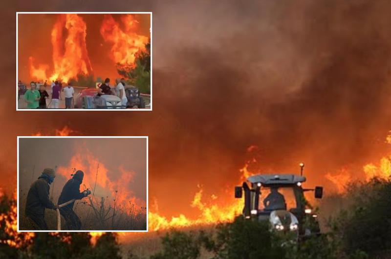 იტალიის პლაჟებიდან ტურისტები გარბიან, საბერძნეთში ცეცხლი მძვინვარებს, თურქეთი 50°C რეკორდულ სიცხეს და ხანძარს ებრძვის: აპოკალიფსური სცენები სხვადასხვა ქვეყნიდან (ფოტოები)