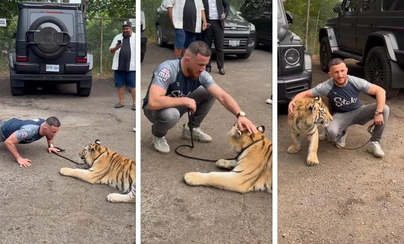 მერაბ დვალიშვილი სახიფათო ვიდეოების გადაღებას აგრძელებს - ამჯერად ის ვეფხვთან ერთად პოზირებს (ვიდეო)