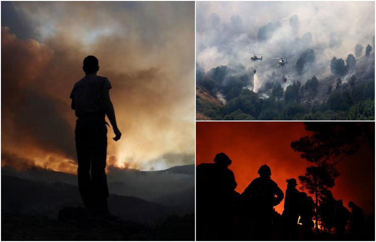 800-ზე მეტი მეხანძრე, 7 ვერტმფრენი, ევაკუირებული მოსახლეობა და გადამწვარი მასივები - პორტუგალიასა და ესპანეთში გაჩენილ ტყის ხანძრებს ებრძვიან (ფოტო)