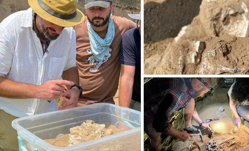 "ოფიციალურად! ოროზმანში 1.8 მილიონი წლის ადამიანის ქვედა ყბა აღმოჩნდა" - არქეოლოგი გიორგი ბიძინაშვილი უნიკალურ აღმოჩენაზე წერს