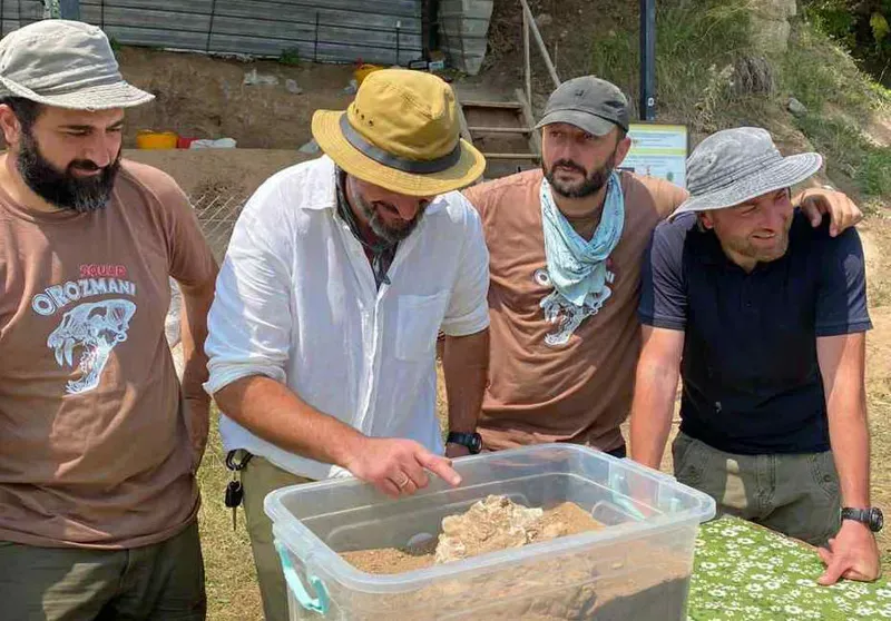 აღმოჩენა დმანისში - ნაპოვნია ადრეული ჰომინიდის ქვედა ყბა: რას ამბობენ სპეციალისტები