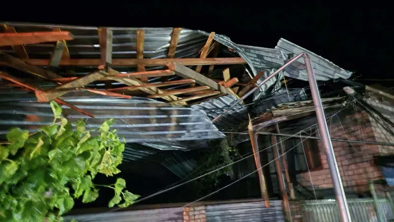 სტიქია კახეთში - რა ხდება ახმეტასა და თელავში, სადაც ძლიერმა ქარმა ხეები მოგლიჯა, სახურავები გადახადა: ჩაიხერგა გზები