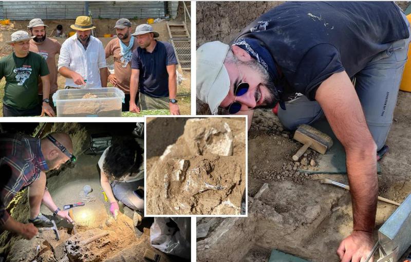 როგორი იყო 1,8 მილიონი წლის წინ უძველესი ადამიანი ოროზმანში აღმოჩენილი ქვედა ყბის მიხედვით -  რას ჰყვება ექსპედიციის ხელმძღვანელი დმანისის მორიგ სენსაციურ აღმოჩენაზე