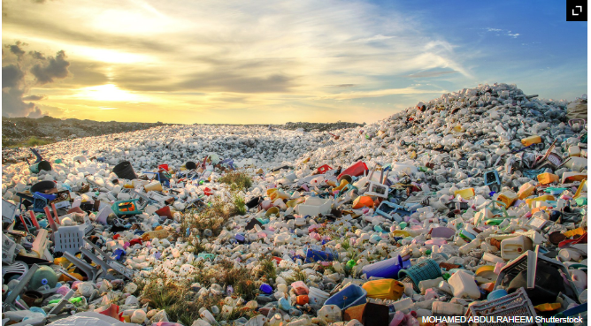 პლასტმასას წარმოება 1950 წლის შემდეგ 200-ჯერ არის გაზრდილი - საფრთხე, რომელმაც შესაძლოა მთლიანი სახეობები გაანადგუროს