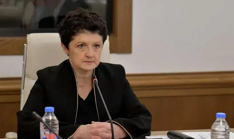 პარლამენტის დროებითმა საგამოძიებო კომისიამ 430-გვერდიანი დასკვნის პროექტი წარადგინა