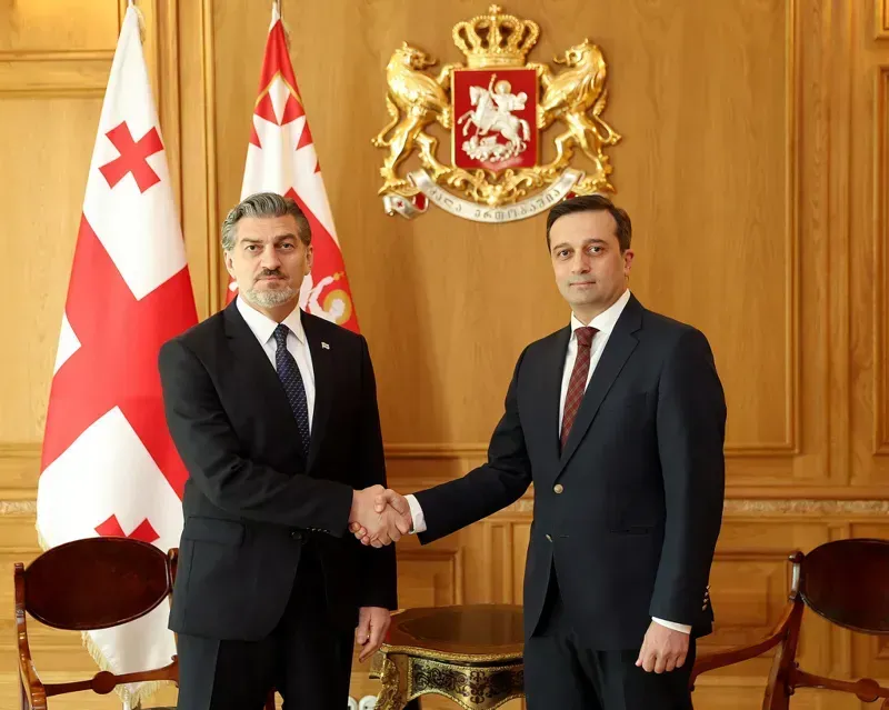 სახალხო დამცველი მიხეილ ყაველაშვილს შეხვდა