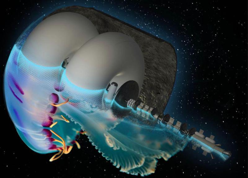 წამიყვანე, მედუზა: ექსპერტებმა წარმოადგინეს კოსმოსური ხომალდები, რომლებიც ვარსკვლავებამდე მიგვიყვანენ