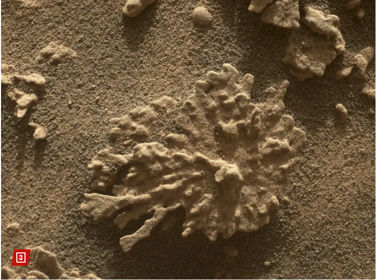 “მარჯნის რიფები" მარსზე? - NASA - ს აპარატმა წითელ პლანეტაზე გადაიღო კადრები, რაც აჩვენებს, რომ პლანეტაზე არსებობდა მდინარები, ტბები და შესაძლოა ოკეანეებიც