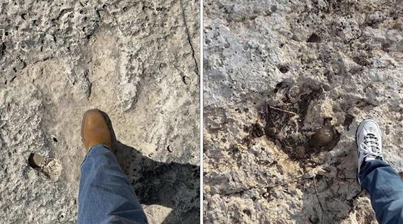 “სიურპრიზი“ დამანგრეველი წყალდიდობის შემდეგ - ტეხასში 15 დინოზავრის ნაკვალევი აღმოაჩინეს, რომლებიც 110 მილიონი წლით თარიღდება