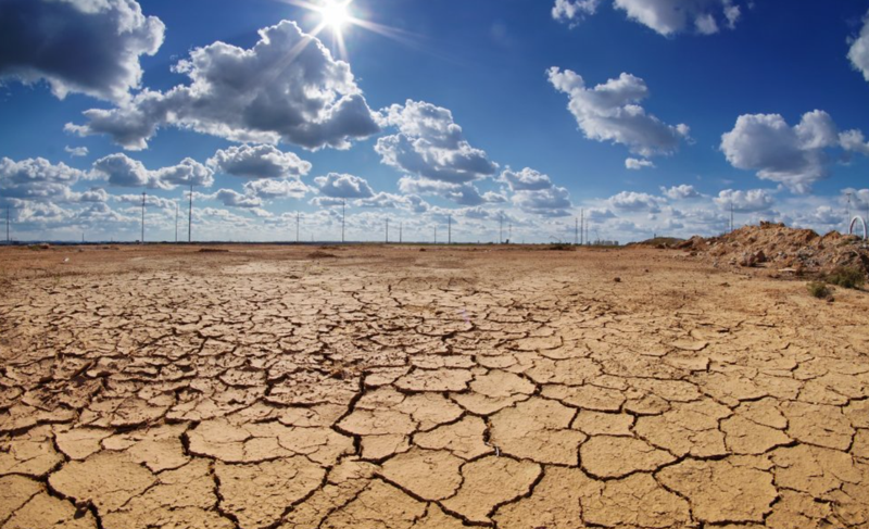 ცხელი ზაფხულის "წინასწარმეტყველება" ანუ ემუქრება თუ არა საქართველოს გაუდაბნოება?