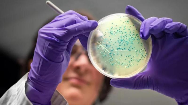 ხელოვნურმა ინტელექტმა ორი ახალი ანტიბიოტიკი შეიმუშავა - მეცნიერები მიიჩნევენ, რომ AI-მ შესაძლოა მედიცინაში “მეორე ოქროს ხანა“ შექმნას