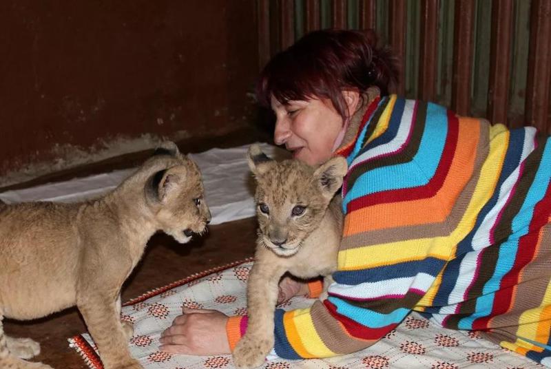 "შვილი არ ჰყავდა და დედურ მზრუნველობას ცხოველებს უნაწილებდა" - ქალი, რომელიც ვეფხვების თავდასხმას გადაურჩა და წყალდიდობამ იმსხვერპლა: გულიკო კონცელიძე-ჭიტაძის ისტორია