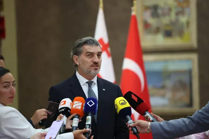 “ევროპა არ არის დღეს შექმნილი, მრავალფეროვნება, სამართალი, ადამიანის უფლებები სწორედ იქ განხორციელდა, იმიტომ იყო ჩვენი სურვილი, რომ ამ სივრცის ნაწილი გავხდეთ“ - მიხეილ ყაველაშვილი