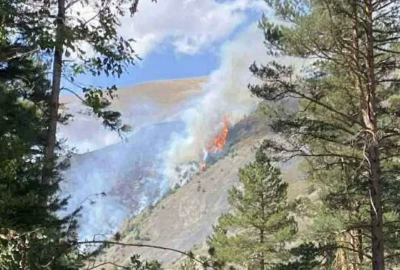 თუშეთში ხანძარია - რა კადრებს ავრცელებენ მოქალაქეები (ვიდეო)