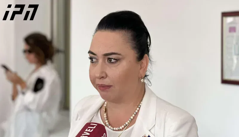 "13 წლის შემდეგ შევცვალე გადაწყვეტილება - სათქმელი ბევრი მაქვს სასამართლოსთვის - ანდრო ჭიჭინაძის ადვოკატი ეკა ბესელია" - ანდრო ჭიჭინაძის ადვოკატი ეკა ბესელია