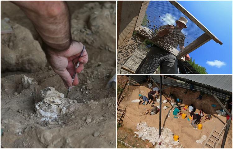 მორიგი აღმოჩენა დმანისში: "ამას შეუძლია დიდი ინფორმაცია მოგვაწოდოს კაცობრიობის შესახებ“ - რას წერს Reuters-ი?