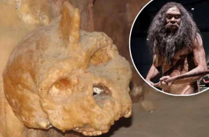 იდუმალებით მოცული აღმოჩენა საბერძნეთში, ერთ-ერთ გამოქვაბულში - 300 000 წლის თავის ქალა აქამდე არსებულ წარმოდგენებს ადამიანის ევოლუციის შესახებ ცვლის