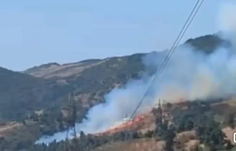 ავჭალაში, მთის ფერდობზე ხანძარია - რა ვითარებაა ადგილზე