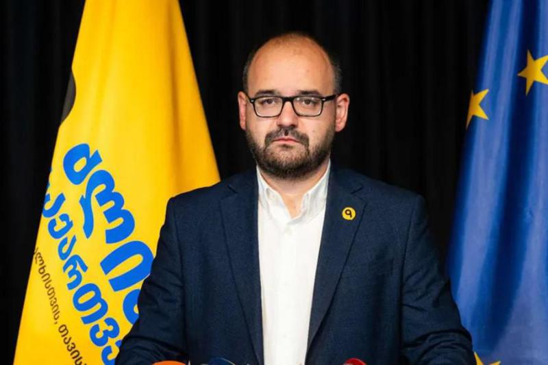 “პასუხისმგებლობა იმაზე, რომ მაღალი ალბათობით დავკარგავთ უვიზოდ მიმოსვლის რეჟიმს, “ქართული ოცნების“ ბოროტმოქმედთა ბანდფორმირებას ეკისრება“ - გრიგოლ გეგელია