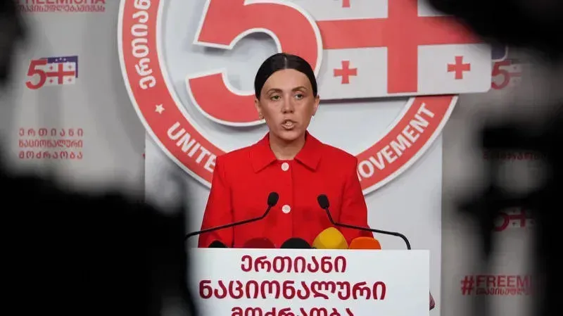 "ნაკლებად გვაინტერესებს, რას იტყვიან 4 ოქტომბერზე "ტემუდან" გამოწერილი ჩინური "ქოცები" გახარიას სახით" - ანა წითლიძე