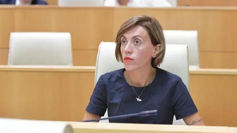 “რეჟიმი ასამართლებს ადამიანთა ყველაზე მშრომელ ნაწილს, რომელზეც დგას ამ ქვეყნის თავისუფლება“ - ანა წითლიძე