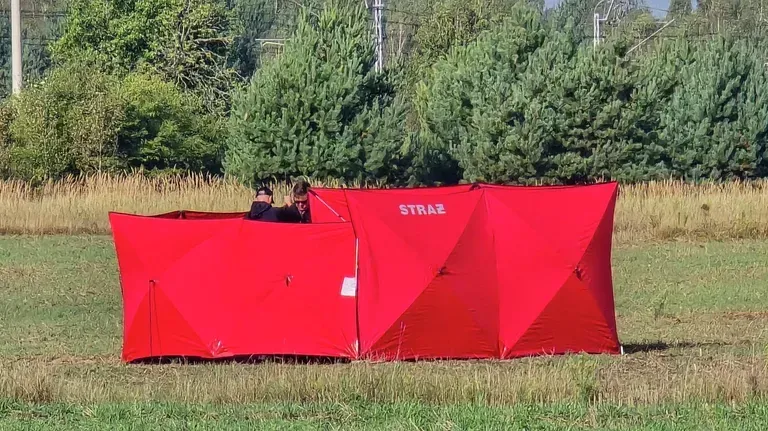 რუსული მხარის პირველი კომენტარი: "პოლონეთს არანაირი მტკიცებულება არ წარმოუდგენიათ, რომ ჩამოგდებული დრონები რუსულია"