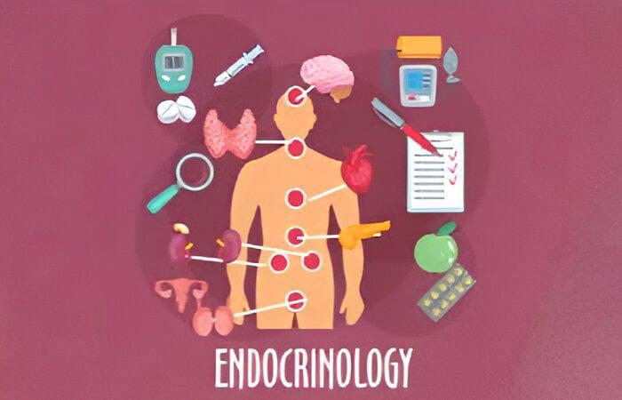 ენდოკრინოლოგია - ჯანმრთელობის მართვის უხილავი სისტემა