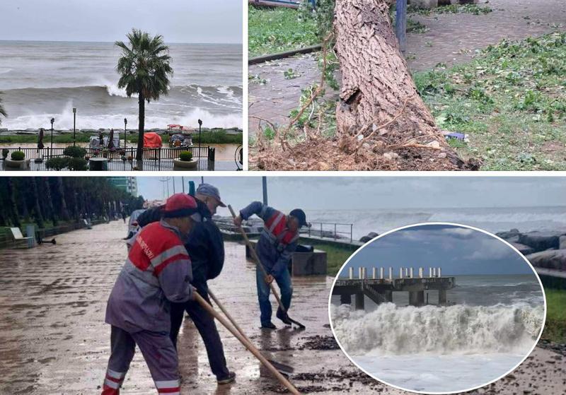 რა ხდება ბათუმში ძლიერი შტორმის შემდეგ - წაქცეულია ხეები, დაზიანებულია ინფრასტრუქტურა (ფოტოები)