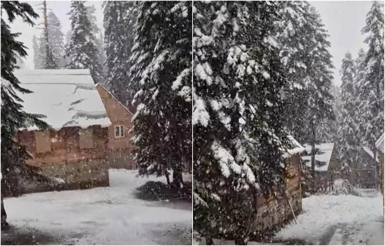 პირველი თოვლი საქართველოში - შთამბეჭდავი კადრები აჭარის მაღალმთიანი სოფლებიდან, სადაც ნალექმა დასახლებები თეთრად დაფარა