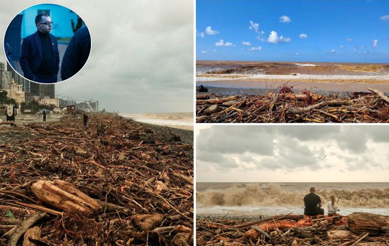"ასეთი ზღვა მე არ მახსოვს... სანაპიროს ბიომრავალფეროვნებისთვის ზიანი კატასტროფულია“ - ექსპერტი შავ ზღვაში არსებული საგანგაშო მდგომარეობის შესახებ წერს