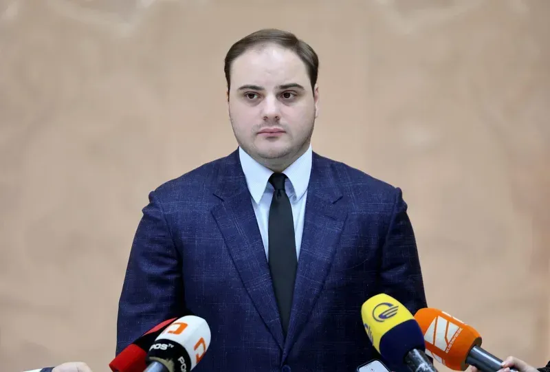 "გერმანიის ელჩი ჩვენ არ დაგვიბარებია, თვითონ მოვიდა და ითხოვა, გერმანული ორგანიზაციები "ენჯეოებს" რომ დავაფინანსებთ, გაგვათავისუფლეთო" - ლევან ჟორჟოლიანი