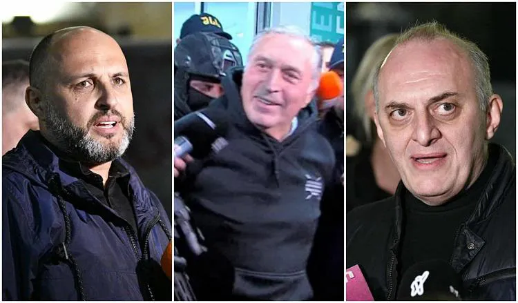 “მე, მოქალაქე ნანუკა ჟორჟოლიანმა, დავინახე მათი თავგანწირვა...“ - რას წერს ნანუკა ჟორჟოლიანი  4 ოქტომბრის აქციის საორგანიზაციო კომიტეტის დაკავებულ წევრებზე