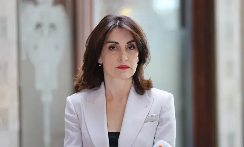 "საქართველოში არავინ ლანძღავს და არავინ ესხმის თავს უცხოელ დიპლომატებს" - მაკა ბოჭორიშვილი