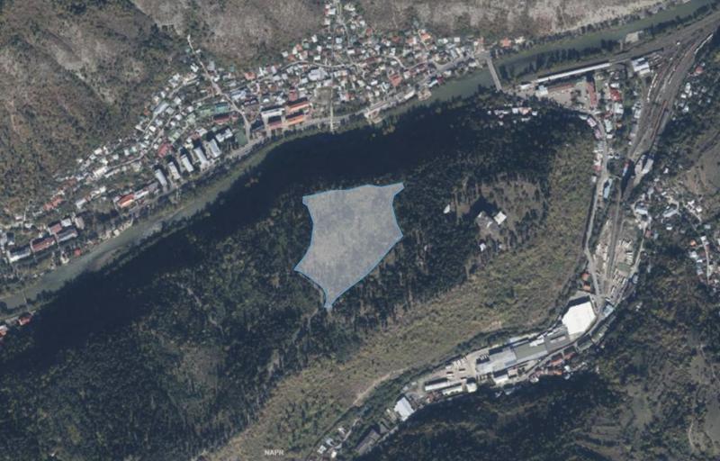 ბორჯომის "პლატოზე" მდებარე ნაკვეთზე, რომელსაც ტყის სტატუსი გაუუქმეს, აუქციონი შეწყდა