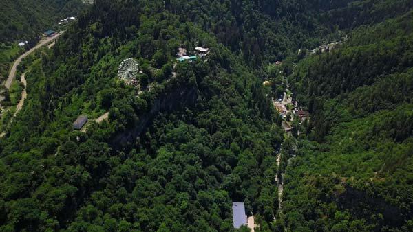 მთავრობამ ბორჯომის "პლატოზე“ 5 ჰა-მდე მიწას ტყის სტატუსი შეუწყვიტა და ყიდის