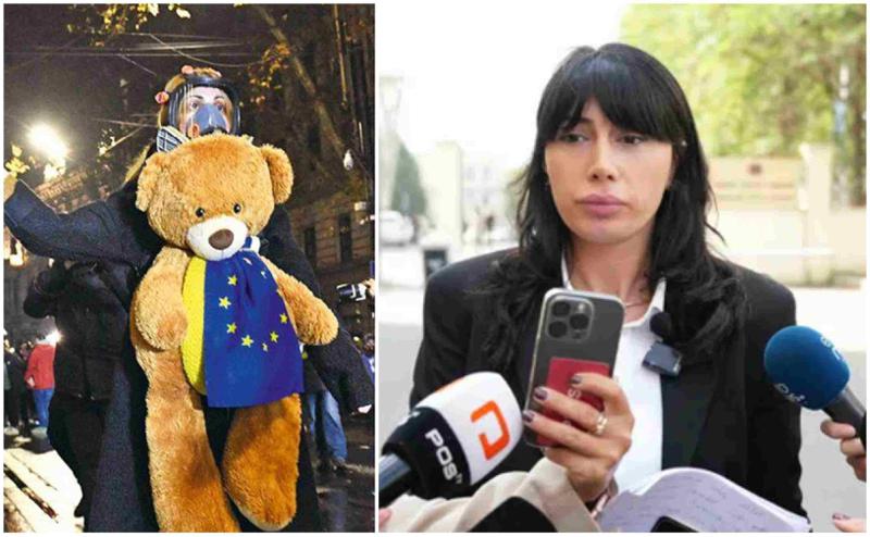 "ნანა სანდერი "პოსტებში" მოუწოდებს საზოგადოებას, გამართონ "უმოწყალო ცემა-ტყეპა", "რევოლუცია", "დიდგორი 2" - პროკურორი