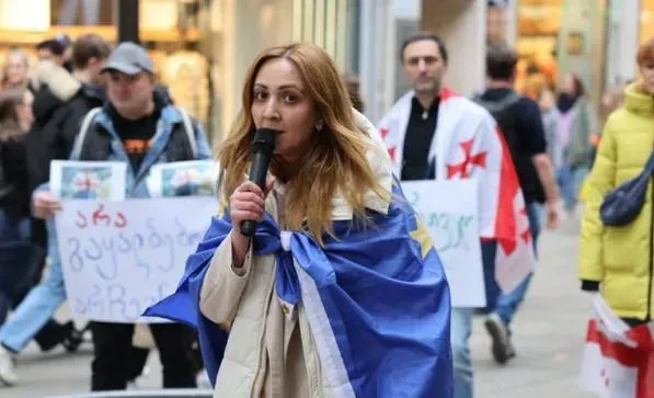 "ნანა სანდერი არ აღიარებს დანაშაულს, ეს იყო ქვეყნის სიყვარულით გამოწვეული ქმედება" - ადვოკატი